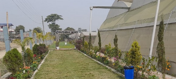 युवाहरूलाई हाैसला बढाउँदै विराटनगरका मामाभान्जाकाे कृषि फार्म